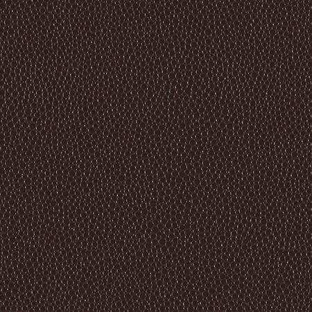Luxury Brown Cover