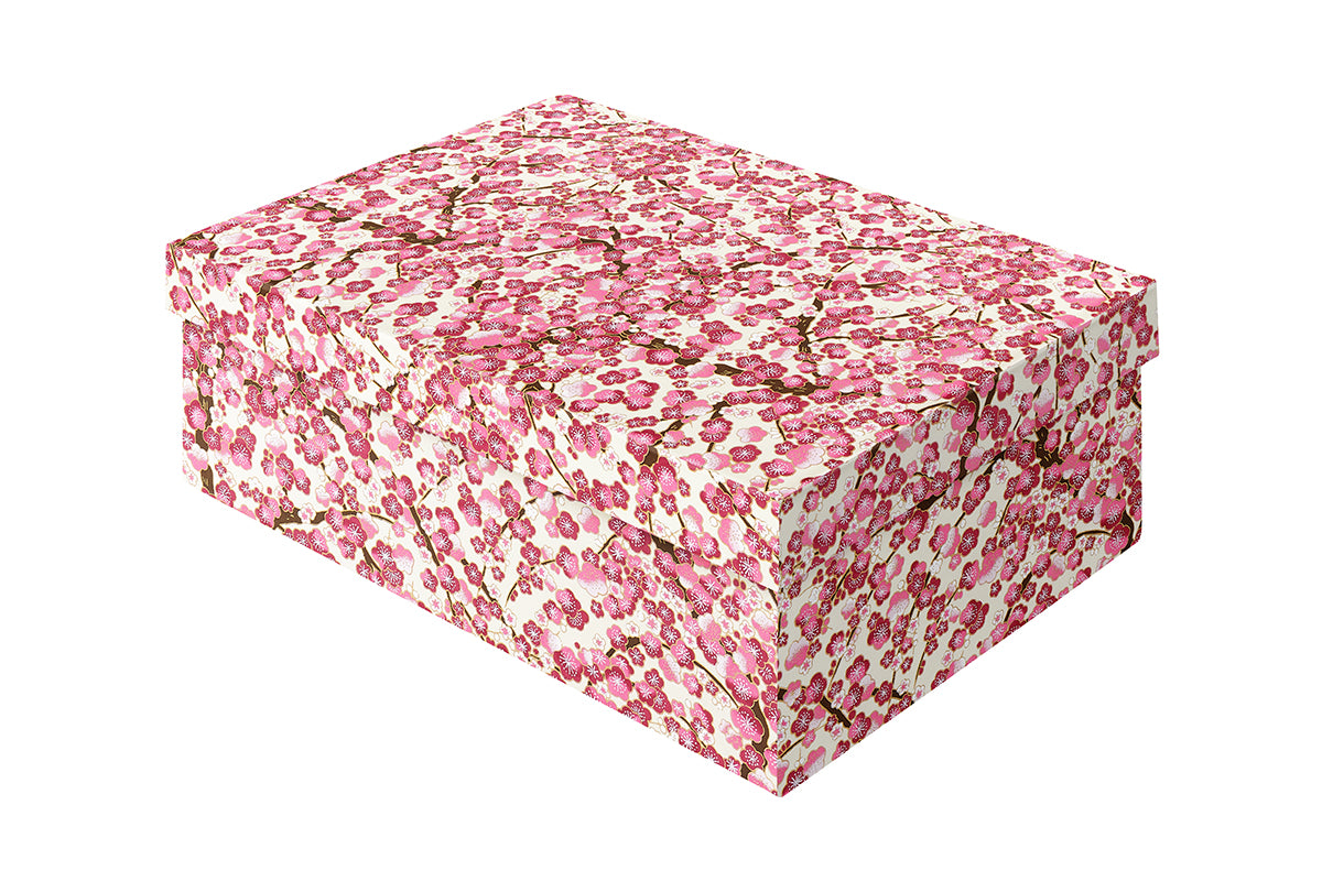 [Exterior Cover: Cherry Blossom]