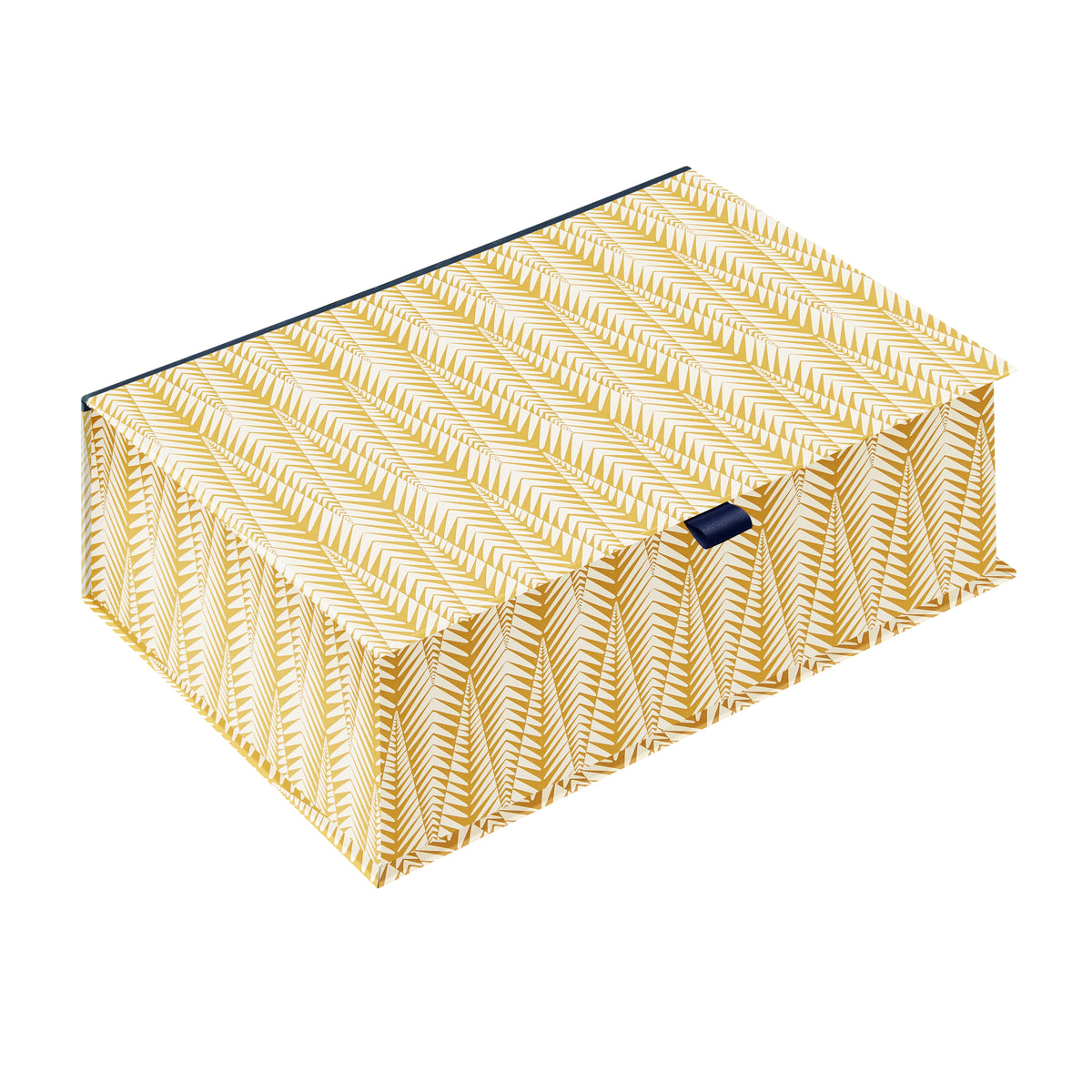 [Exterior Cover: Zebra Mustard]