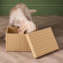 Decorative Fabric Storage Boxes