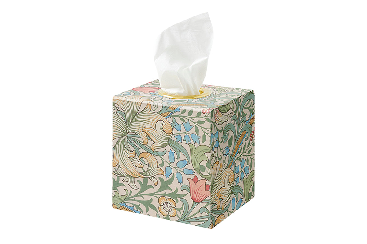[Exterior Cover: Golden Lily] 