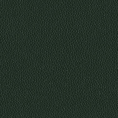 Luxury Green Cover