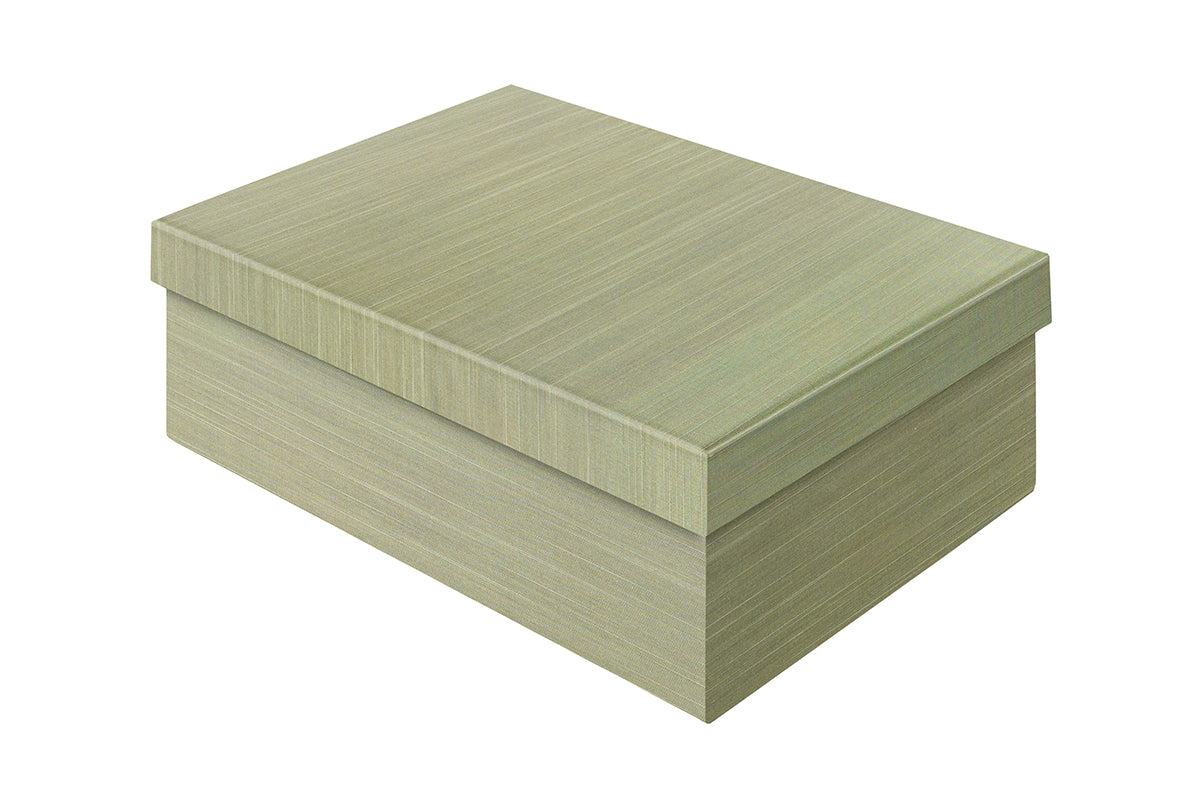 [Exterior Cover: Light Olive] 
