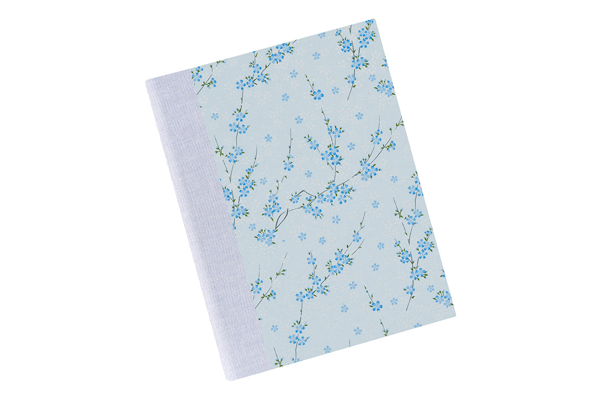  [Exterior Cover: Baby Blue] 