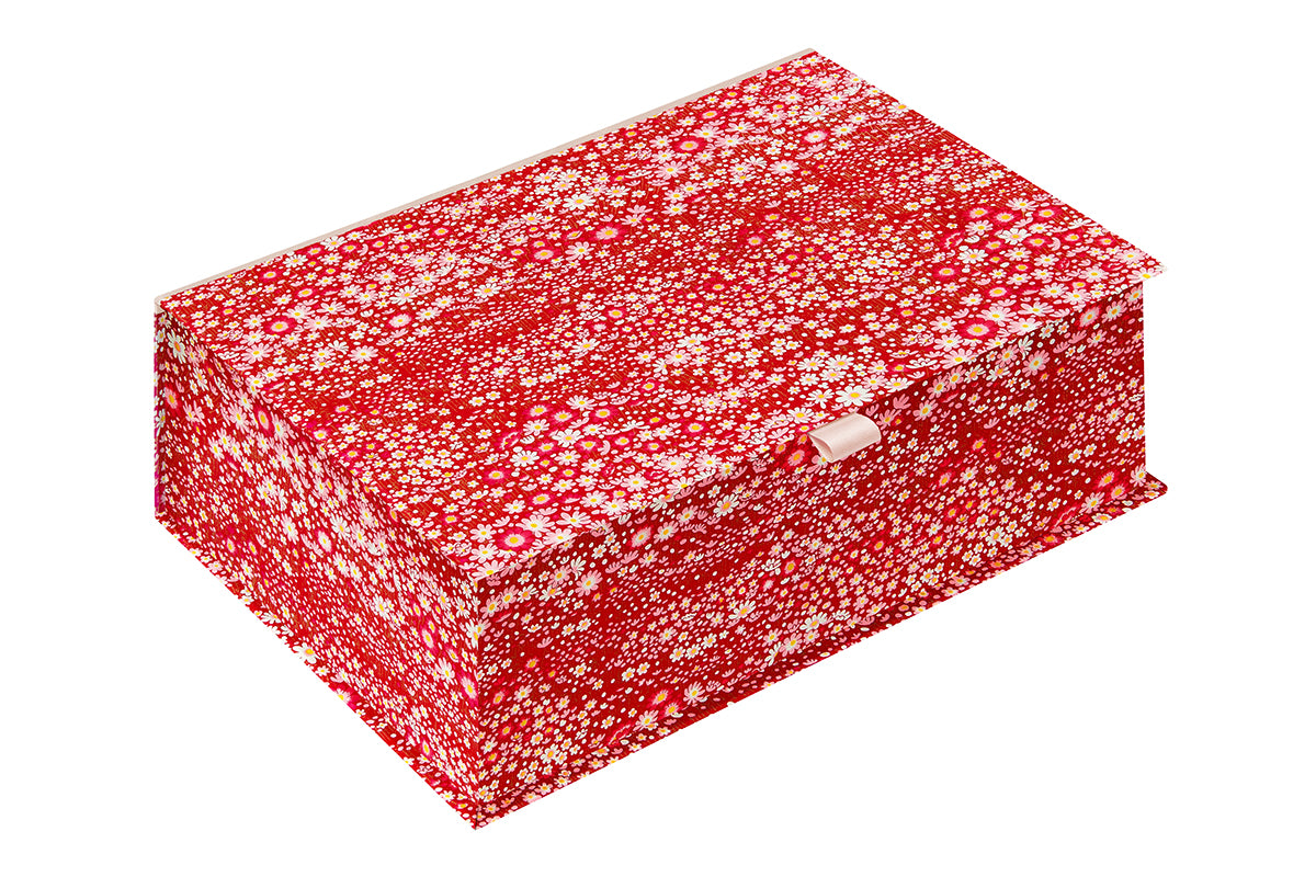  [Exterior Cover: Primrose] 