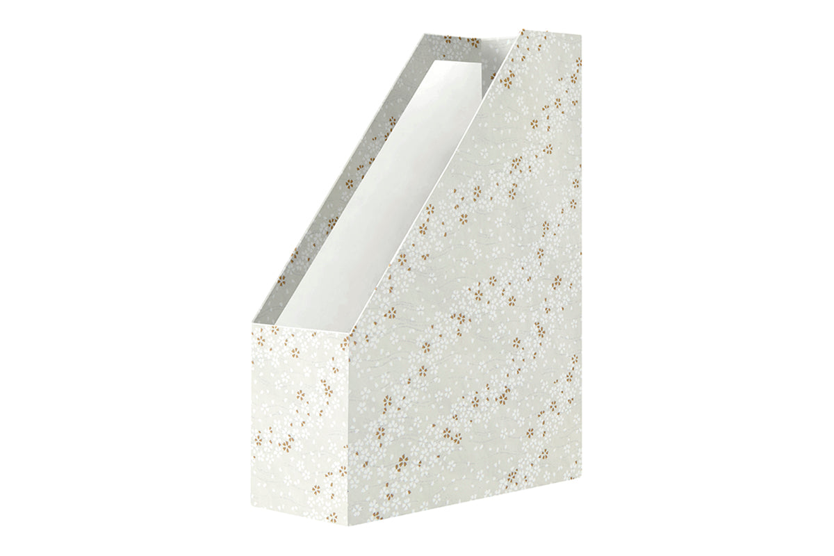  [Exterior Cover: Snow White] 