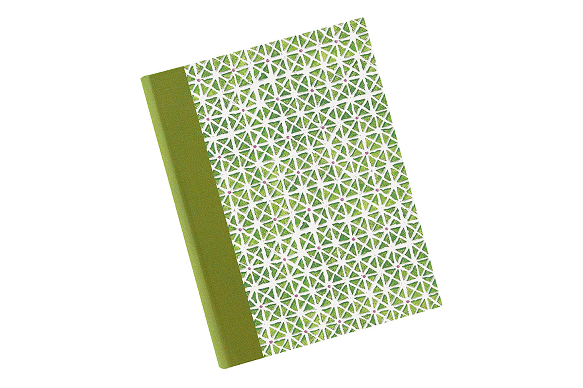  [Exterior Cover: Triangles green] 