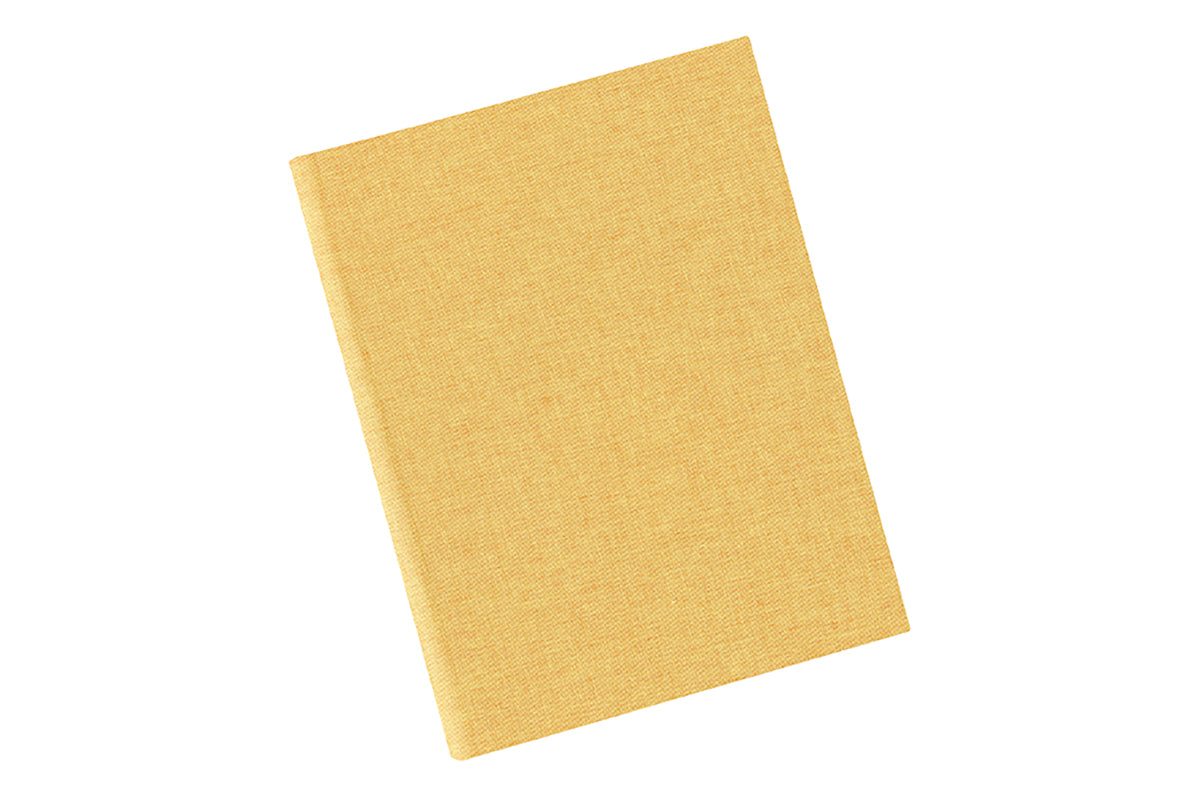  [Exterior Cover: Honey Yellow] 