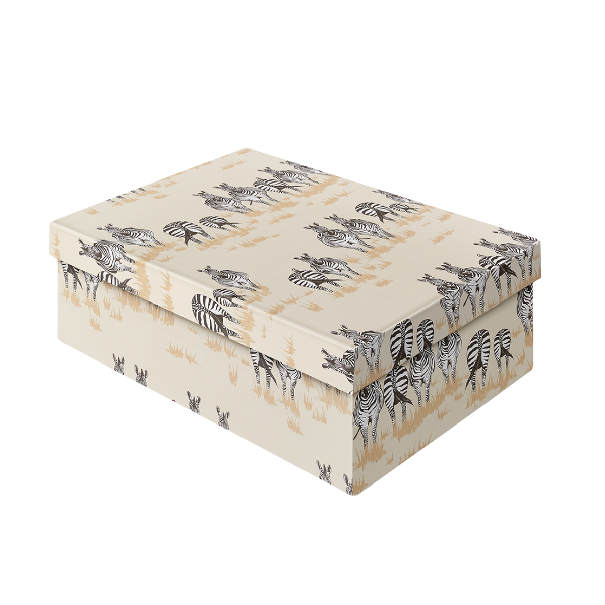 Decorative storage discount boxes